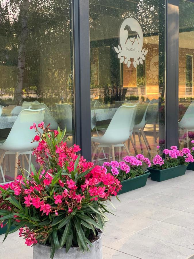 ホテル Mohacsi Wellness Vendeghaz Es Lovasklub エクステリア 写真