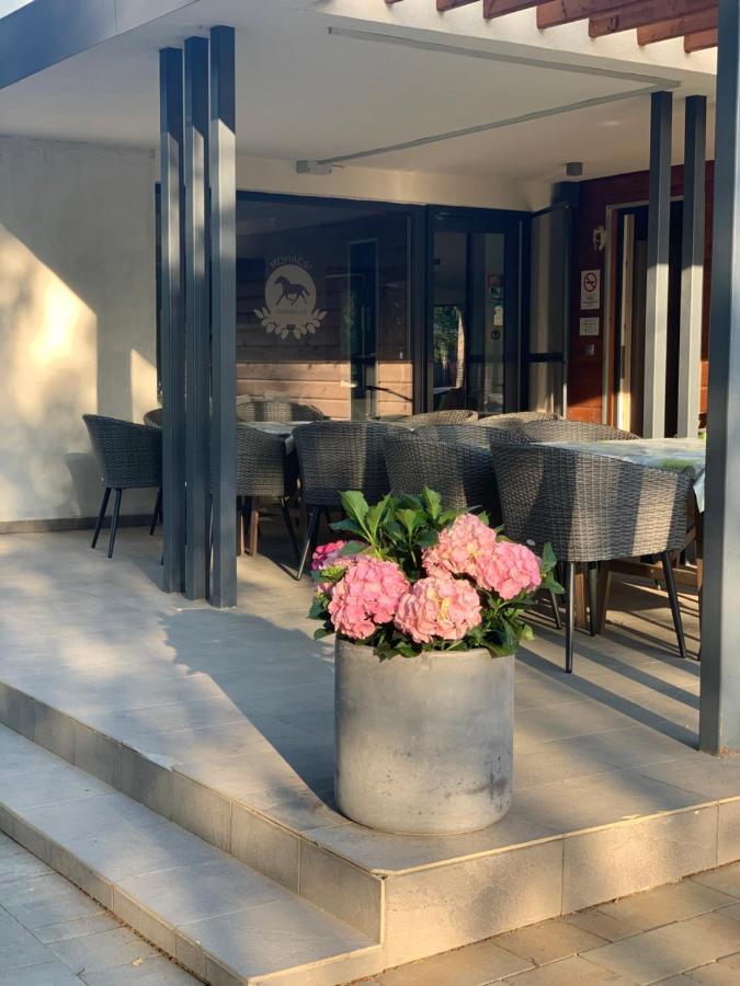 ホテル Mohacsi Wellness Vendeghaz Es Lovasklub エクステリア 写真
